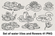 Set of water lilies and flowers PNG, a Decorative Illustration by LOKSKIH (Thumbnail 1 of 10)