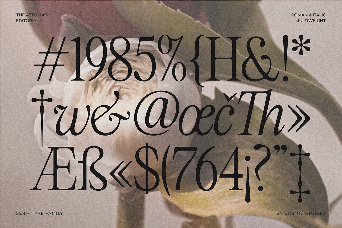 The Astoria's Editorial Serif, a Serif Font by CarmineType (Photo 10 of 26)