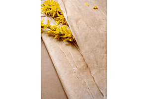 Yellow Flowers on Natural Craft, a Nature Photo by Natasha Breen