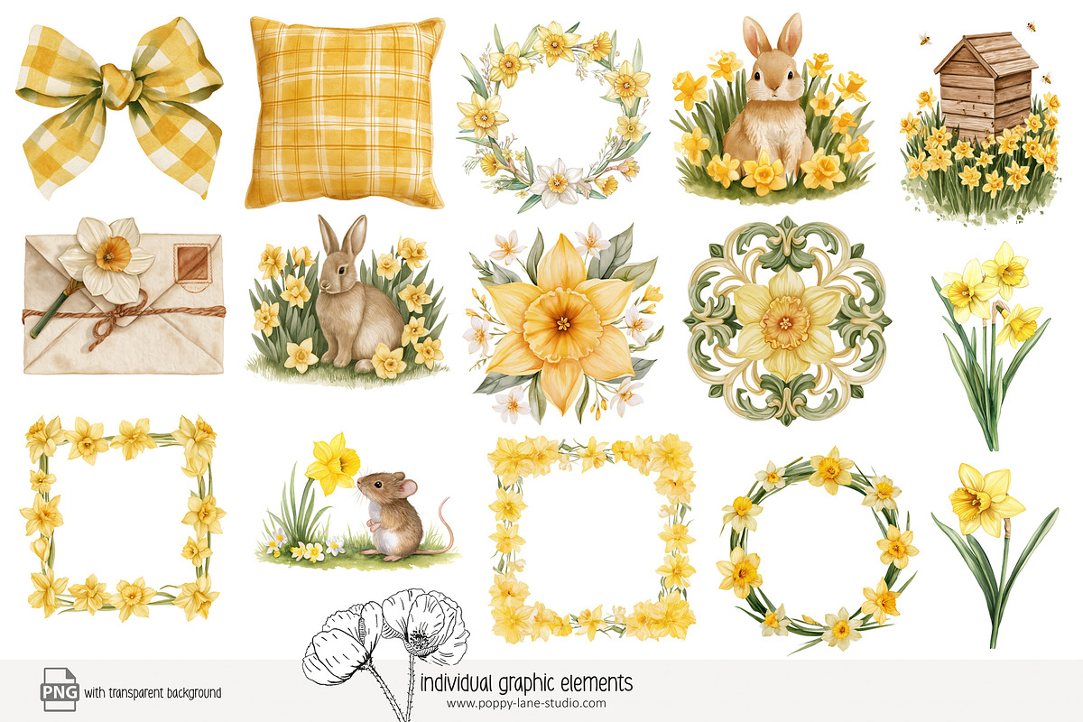 100 watercolour daffodil clip art, a Seasonal Illustration by Poppy Lane Studio (Photo 3 of 12)