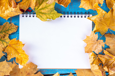 Autumn fall leaves background, a Holiday Photo by Rimma