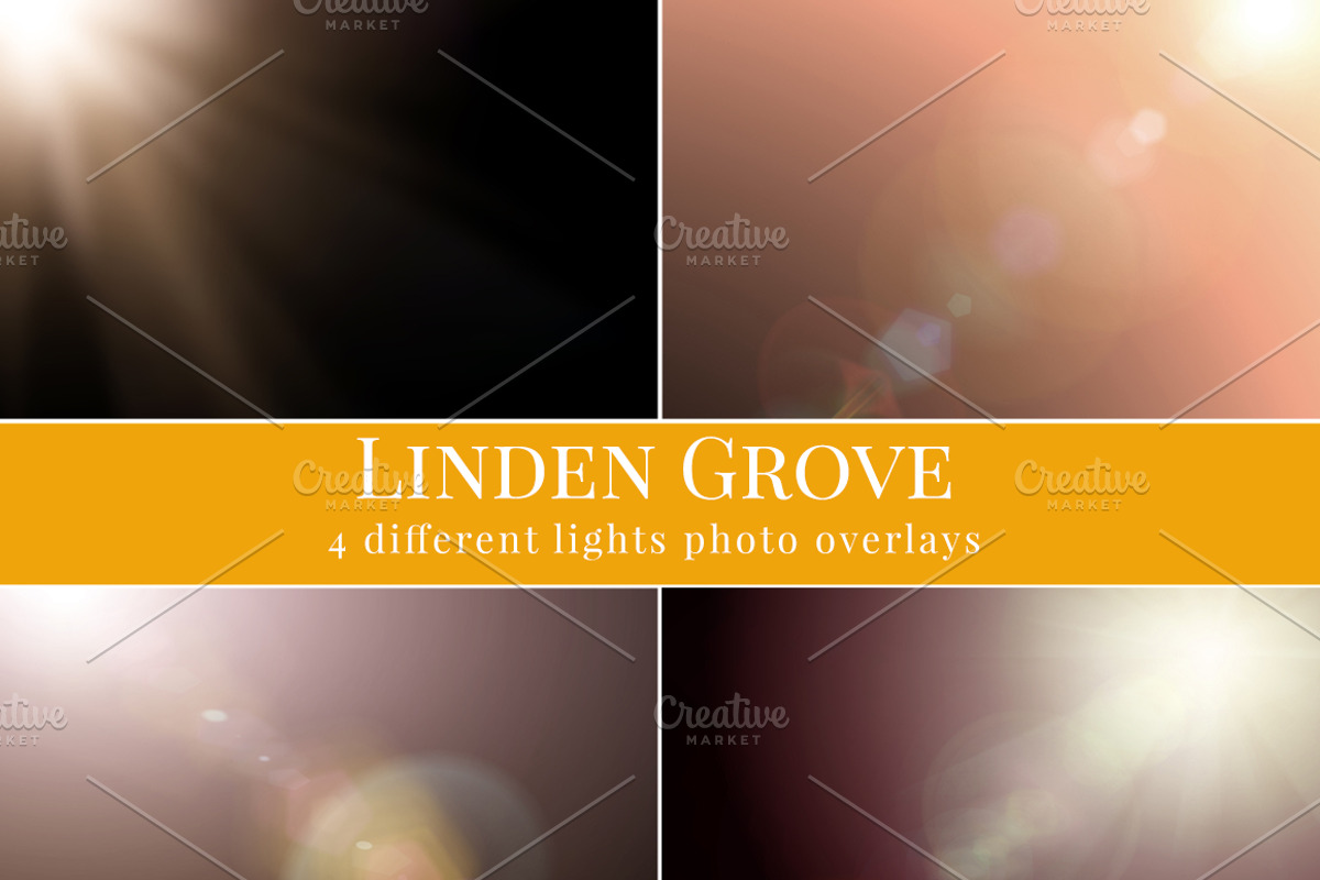 Linden Grove-falling leaves overlay preview 2