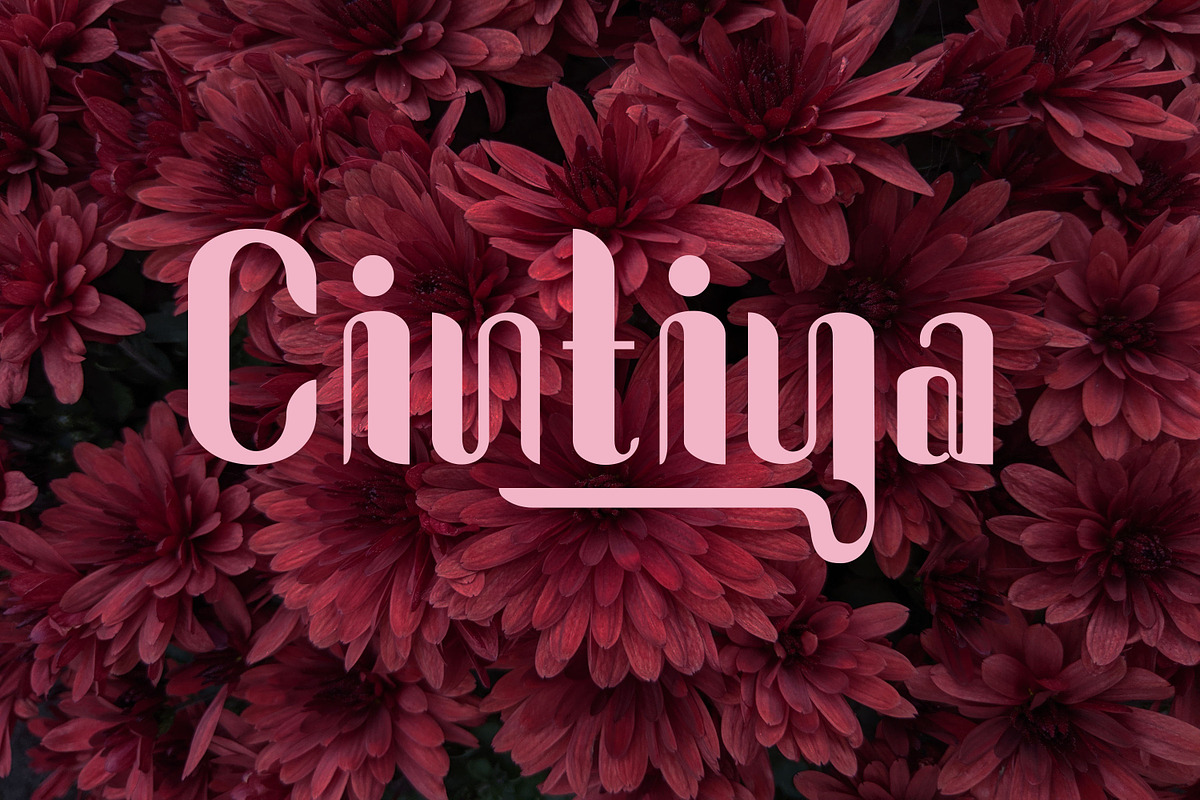 Cintiya, a Font by Funtype (Photo 1 of 11)
