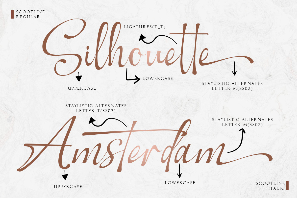 Scootline Signature Script Font, a Script Font by Romiecreative (Photo 10 of 11)