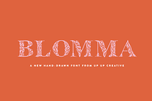 Blomma Hand-Drawn Display Font