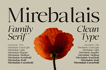 Mirebalais - Family Serif