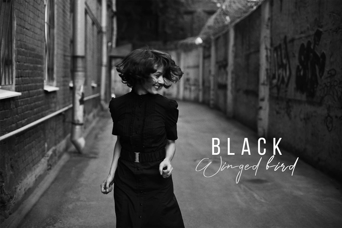 Black Winged Bird Photoshop Action, an Action Add-On by FilterAtelier (Photo 7 of 7)