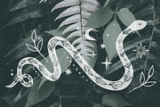 Celestial Magic Snakes. Boho Arts., an Illustration by Naty Art (Thumbnail 3 of 9)