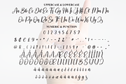 Pinkytoe | Script Font, a Handwritten Font by Scratchones (Thumbnail 7 of 9)