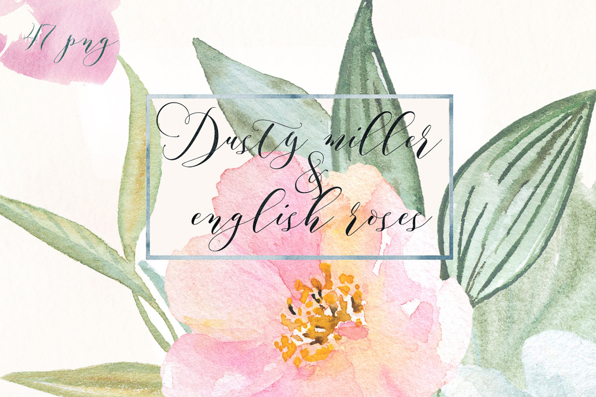 Dusty miller & english roses, an Illustration by LABFcreations (Photo 7 of 8)
