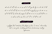 De Lionist - Handwritten Script Font, a Handwritten Font by Myn Type (Thumbnail 14 of 15)