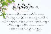 Harelia // Lovely Script Font, a Script Font by Nissa Studio (Thumbnail 12 of 12)