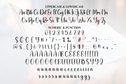 Distance | Script Font, a Handwritten Font by Scratchones (Thumbnail 7 of 9)