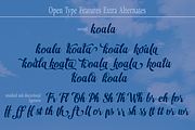 Junius, a Script Font by Eurotypo (Thumbnail 2 of 10)