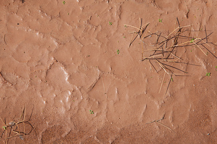 Red Desert Mud Texture