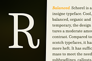Schorel, a Serif Font by insigne (Thumbnail 3 of 4)