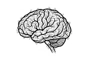 Brain Tree Knowledge Design Bundle, an Illustration by Gaye Art (Thumbnail 29 of 31)