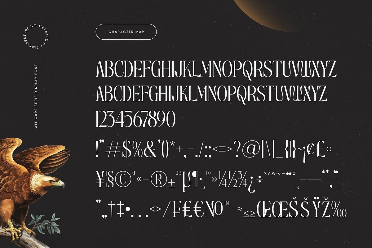 Roxbury Egoism All Caps Serif, a Serif Font by timelesstype.co (Photo 19 of 20)