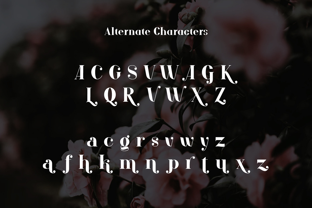 ARK Reunio - Modern Serif Font, a Serif Font by Arkara (Photo 10 of 11)