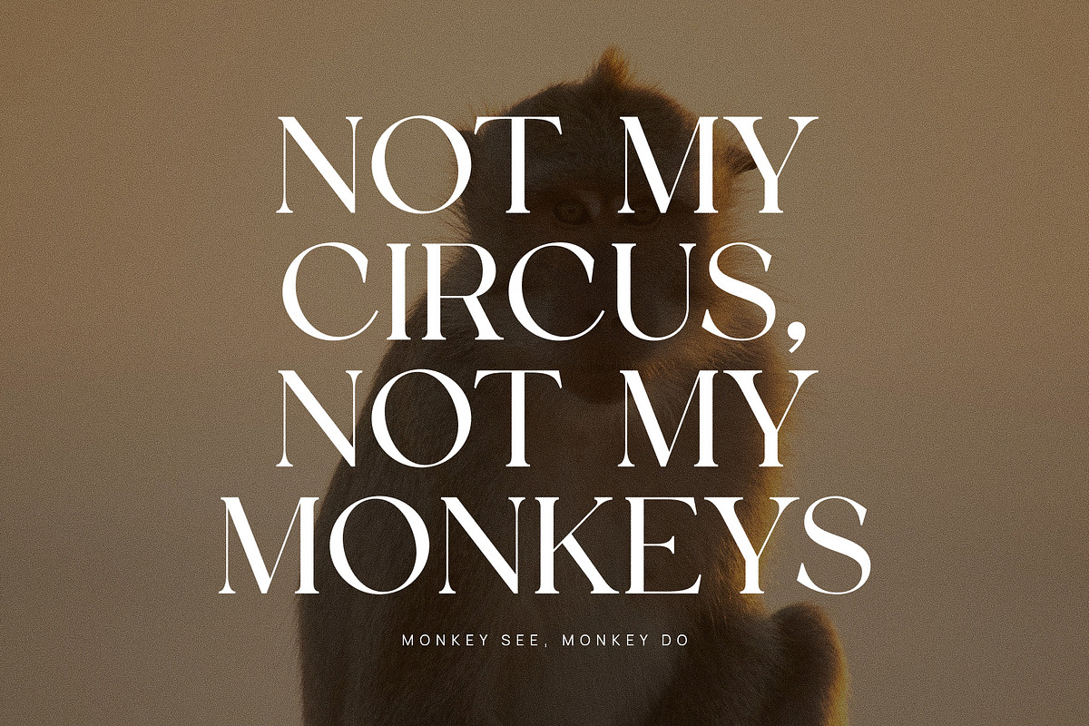 Satoru Elegant Serif Font, a Serif Font by Perfectype (Photo 5 of 6)