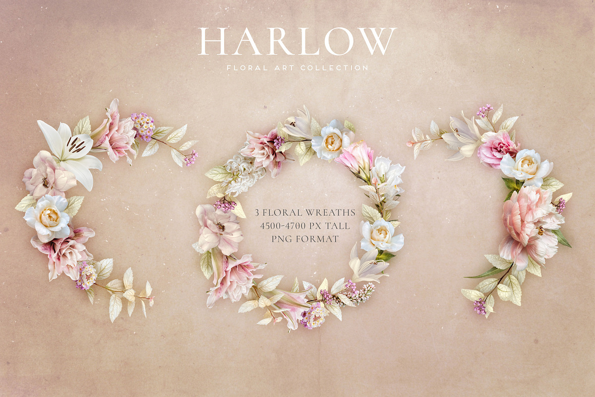 Harlow Floral Art Collection, an Object Graphic by Eclectic Anthology (Photo 8 of 13)