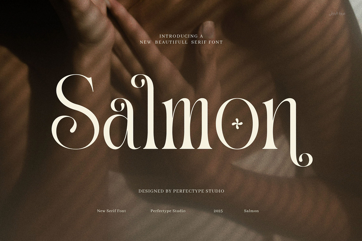Salmon Elegant Serif Font, a Serif Font by Perfectype (Photo 1 of 8)
