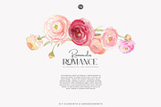 watercolor ranunculus clipart set, a Decorative Illustration by Patishop Art (Thumbnail 6 of 10)