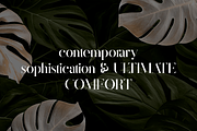 Magoa - Serif Ligature Typeface, a Serif Font by VP Fonts (Thumbnail 2 of 10)