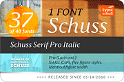 SchussSerifProIta No.37 (1 Font), a Serif Font by typic schuss (Thumbnail 2 of 7)