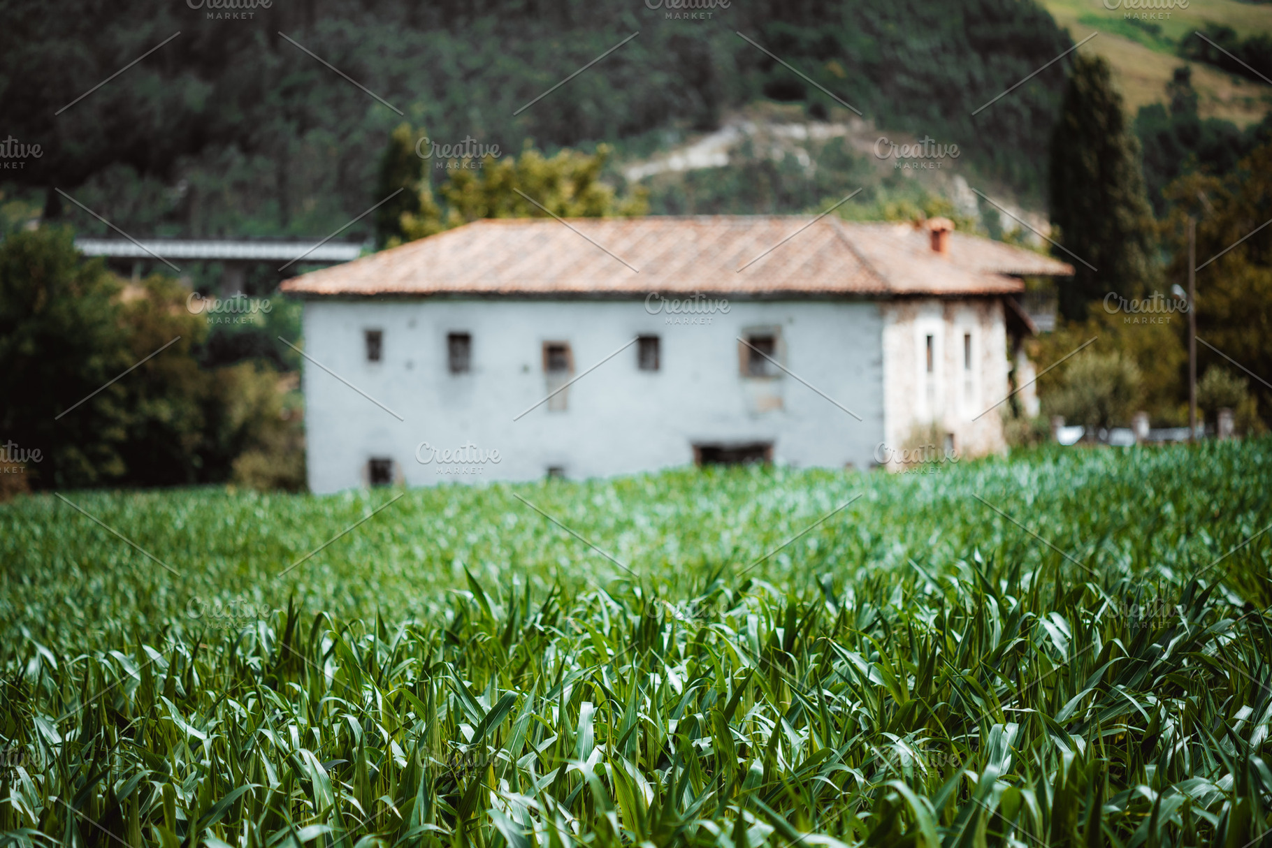 Green Field And Rural Farmhouse, an Industrial Photo by SkyNext