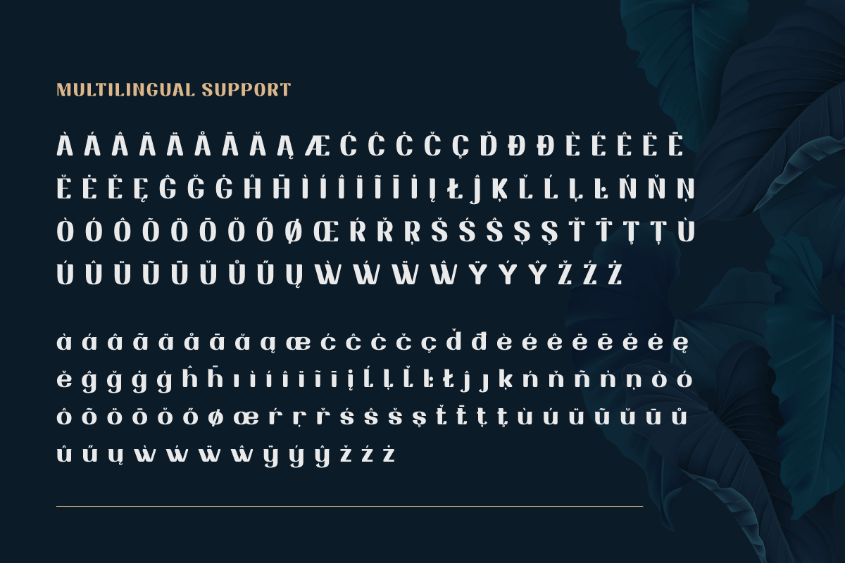 Drafbink | Serif Classic Modernism, a Serif Font by twinstd (Photo 10 of 13)