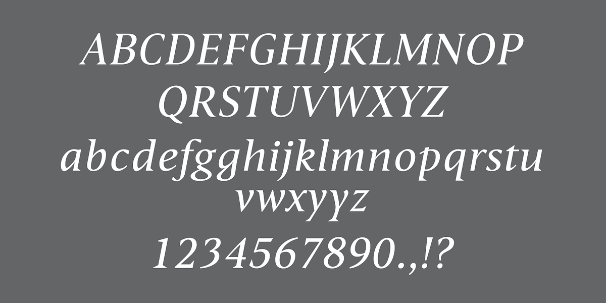 Haggard Nova, a Serif Font by TipografiaRamis (Photo 4 of 9)
