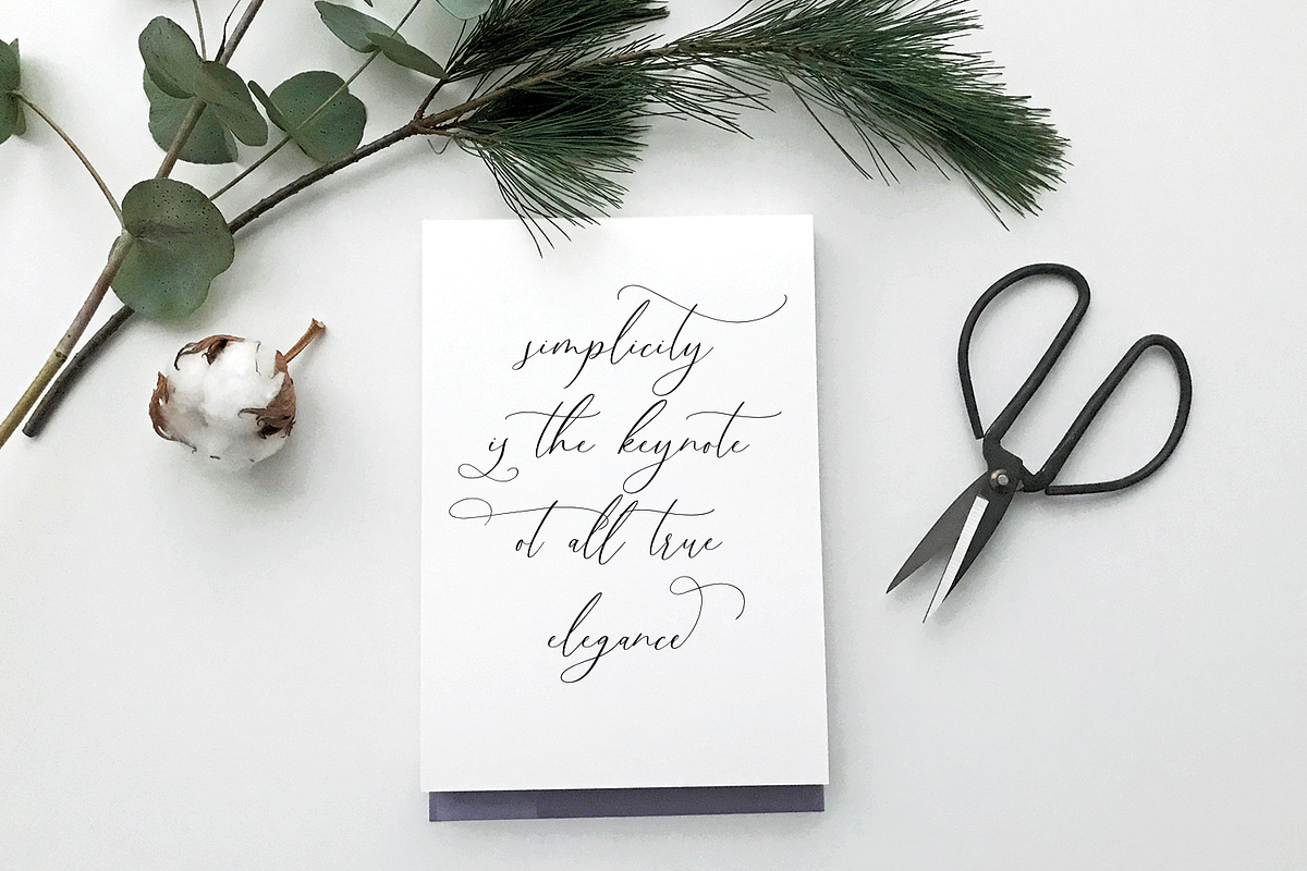 Wantemar - modern calligraphy font, a Script Font by Quothron (Photo 3 of 9)