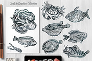 Vector Sea Life Graphics Collections, an Animal Illustration by ZiziMarket (Thumbnail 1 of 5)