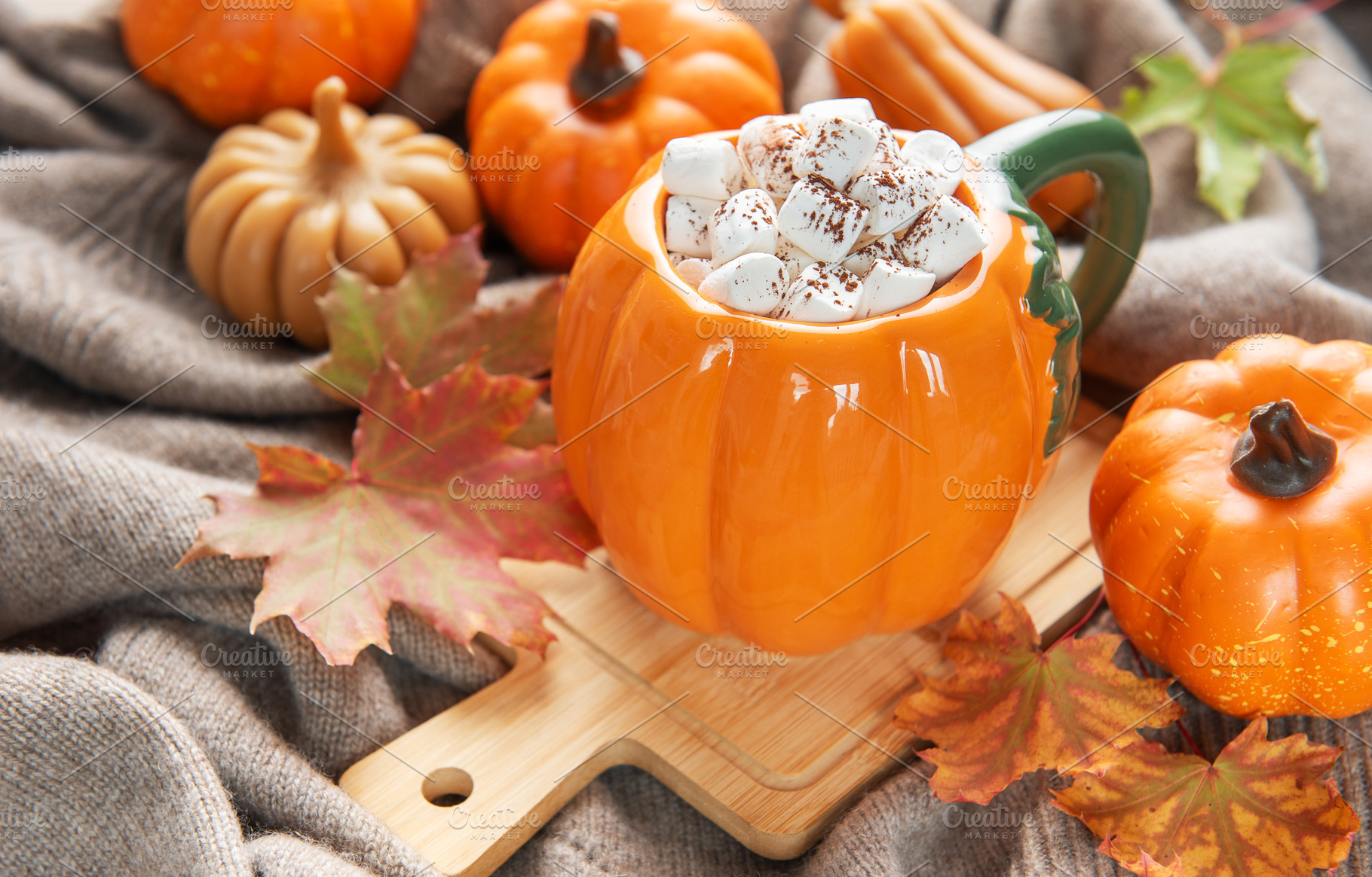Cozy pumpkin mug with hot chocolate and marshmallows, a Food & Drink Photo by Olena Rudo