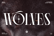 Wolves, a Serif Font by Eotype Studio (Thumbnail 1 of 13)