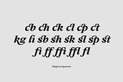 Slingera - Display Serif, a Serif Font by Attract Studio (Thumbnail 15 of 17)