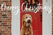 Silverway | Handwritten Brush Font, a Script Font by KA Designs (Thumbnail 20 of 24)