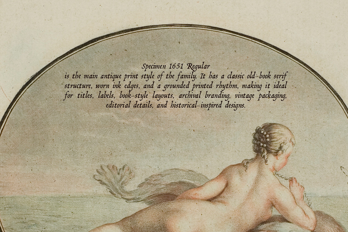 Specimen 1651: Vintage Font Family, a Serif Font by Mneme (Photo 2 of 14)