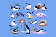 Funny cats set, banner, patterns, an Animal Illustration by PaperTrident (Thumbnail 1 of 8)