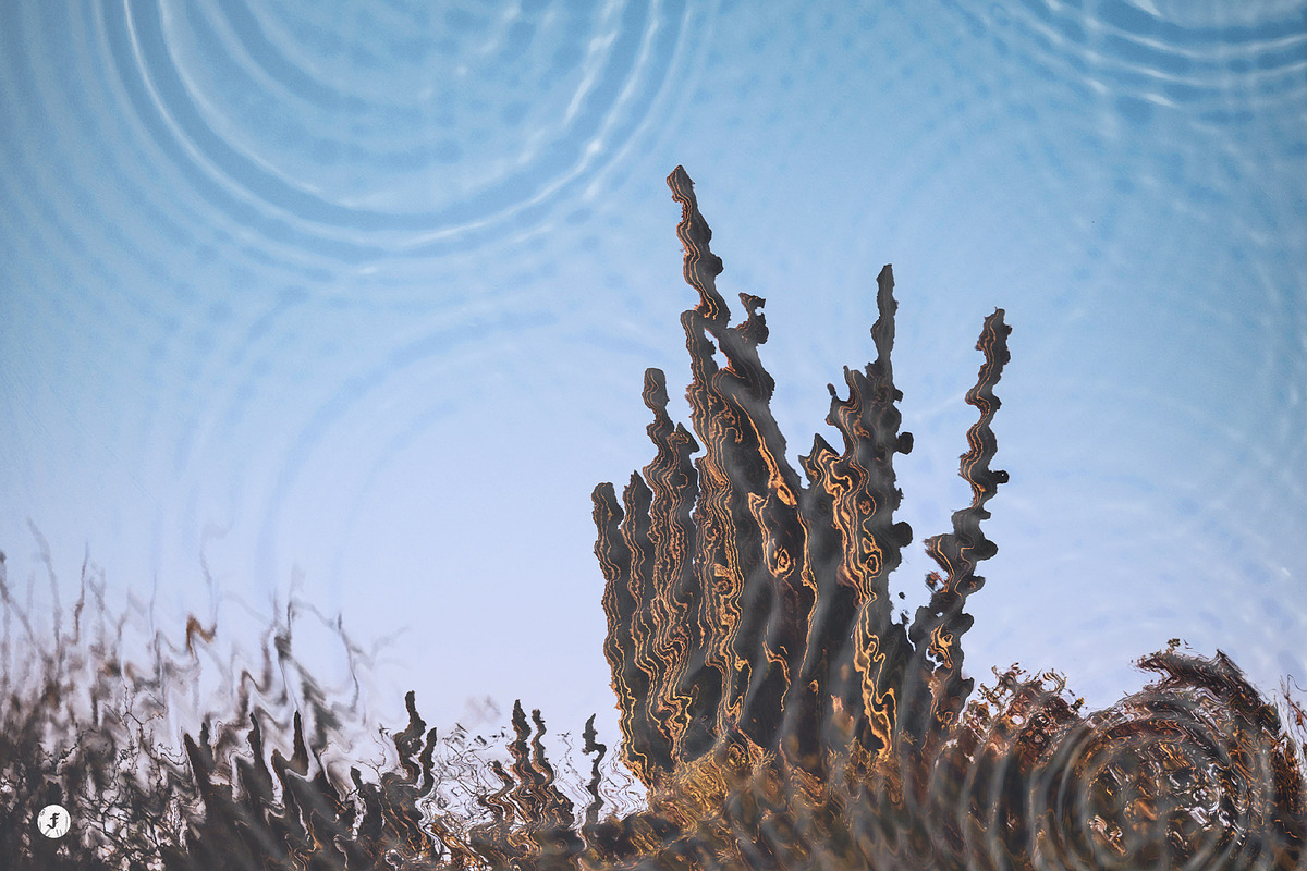 Water Reflection Photo Effect, a Layer Style Add-On by Freezerondigital (Photo 7 of 7)