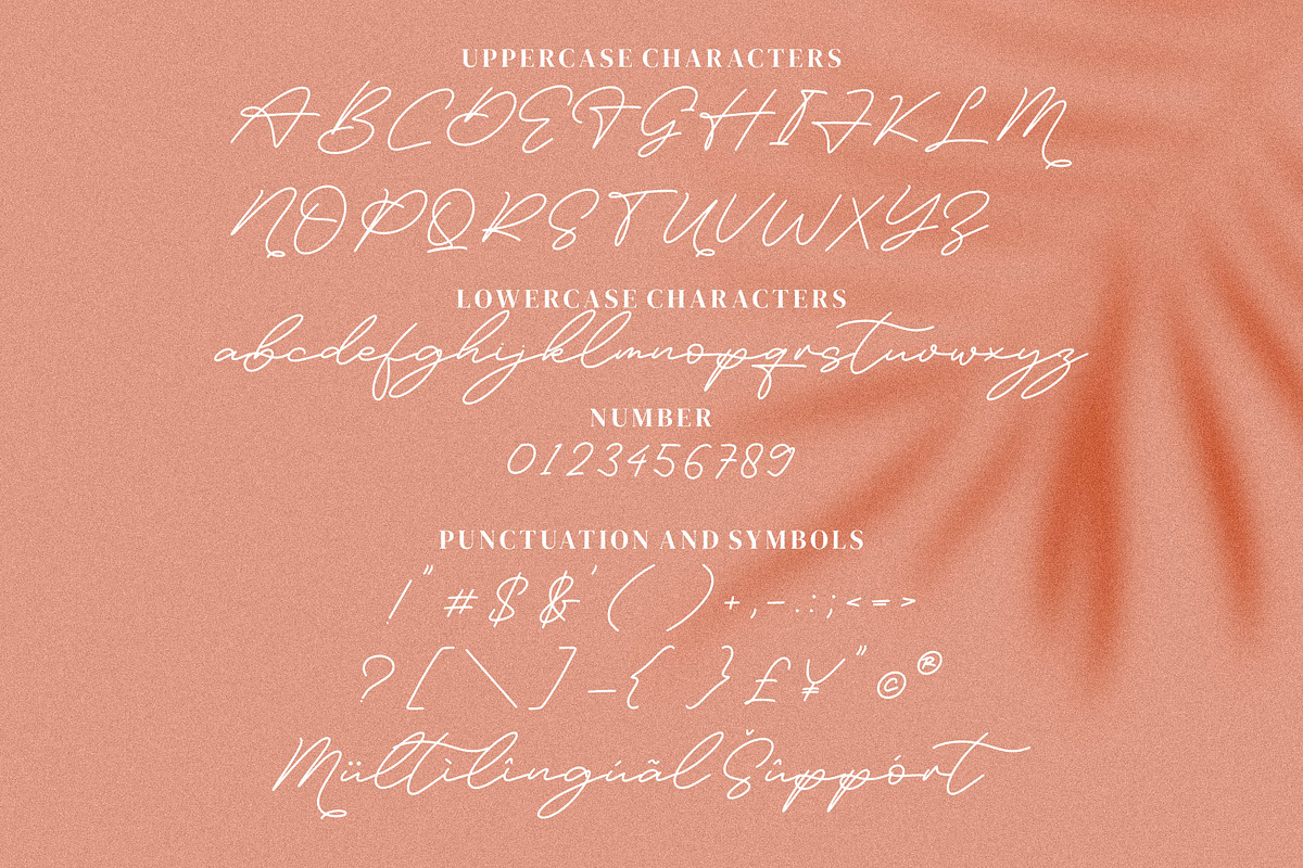 Felisia, a Handwritten Font by Integritype Studio (Photo 8 of 11)