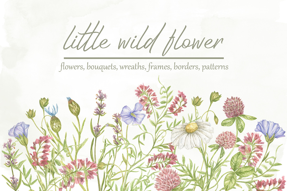 Little wild flower, a Decorative Illustration by Irina Avdeeva (Photo 1 of 9)