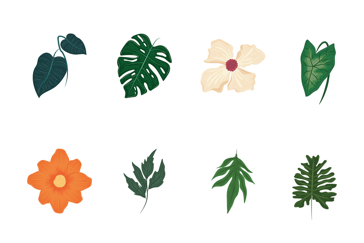 Tropical Leaves and Flowers Set