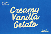 Nougatine Script Font Family, a Script Font by Nicky Laatz (Thumbnail 8 of 23)