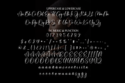 Kayla | Script Font, a Handwritten Font by Scratchones (Thumbnail 4 of 9)