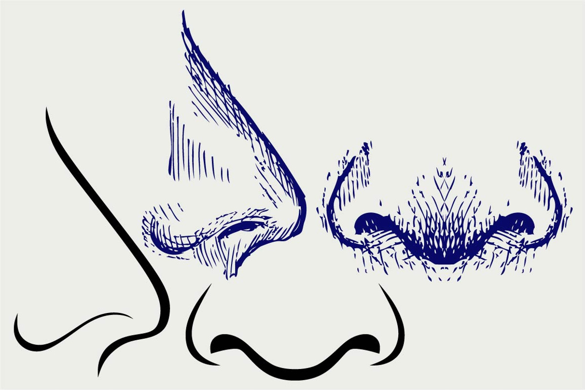 Human nose SVG, an Outline Icon by LineworkStock