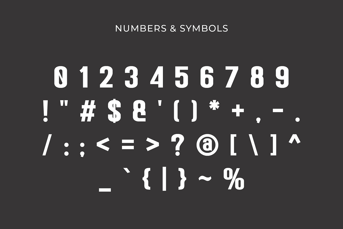 Brizmax - Maximum Monospace Font, a Sans Serif Font by Pikgura (Photo 3 of 6)