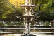 Fountain Digital Backdrop, a Layer Style Add-On by Wild Honey Design Co. (Thumbnail 2 of 2)