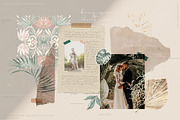 Modern Oasis Watercolor Collection, an Animal Illustration by Julia Dreams (Thumbnail 6 of 10)